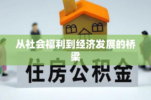 纳溪从社会福利到经济发展的桥梁