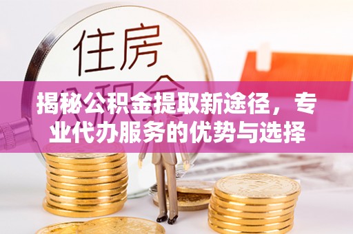 纳溪揭秘公积金提取新途径，专业代办服务的优势与选择