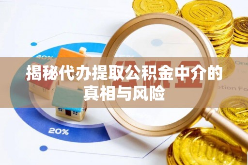 纳溪揭秘代办提取公积金中介的真相与风险