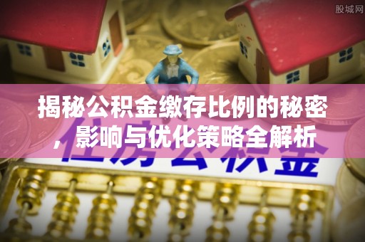 纳溪揭秘公积金缴存比例的秘密，影响与优化策略全解析