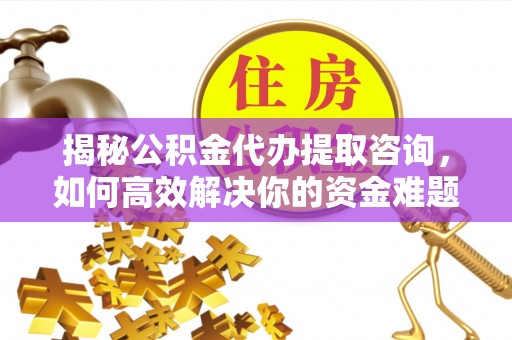 纳溪揭秘公积金代办提取咨询，如何高效解决你的资金难题