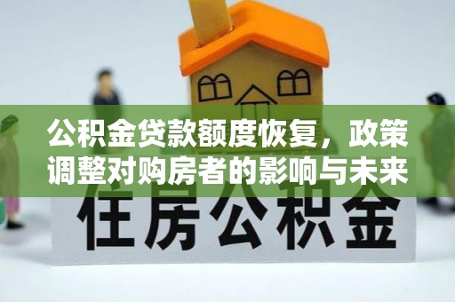 纳溪公积金贷款额度恢复，政策调整对购房者的影响与未来展望