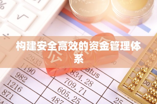纳溪构建安全高效的资金管理体系