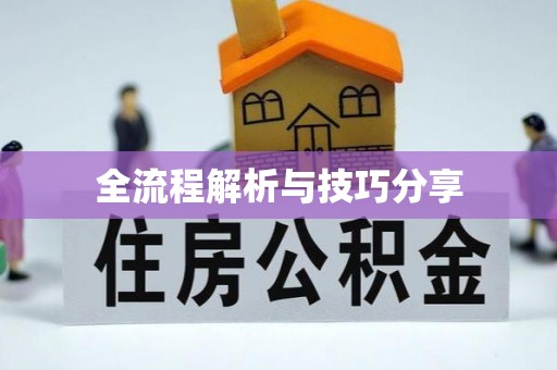 纳溪全流程解析与技巧分享